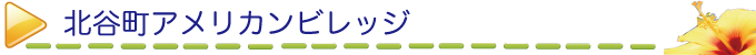 北谷町アメリカンビレッジ