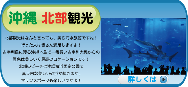 沖縄北部観光はなんと言っても、美ら海水族館ですね！行った人は皆さん満足しますよ！又古宇利島に渡る、沖縄本島でもつとも長い古宇利大橋からの景色は美しいく最高のロケーションです！