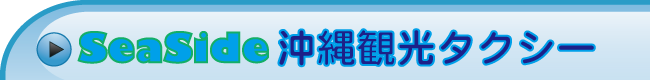 SeaSide沖縄観光タクシーグループとは